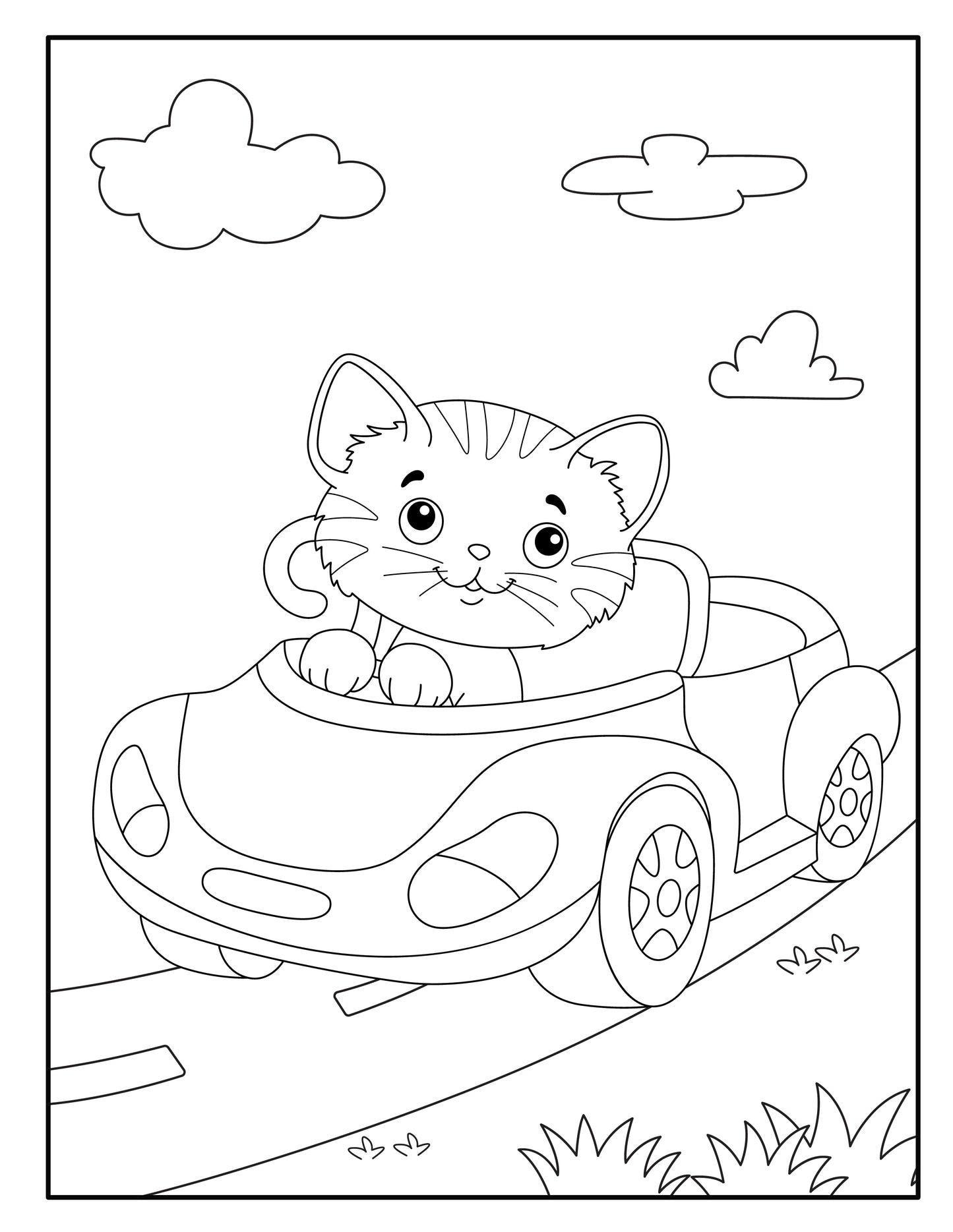 CATS VOLUME 2 - Foster Mom Things