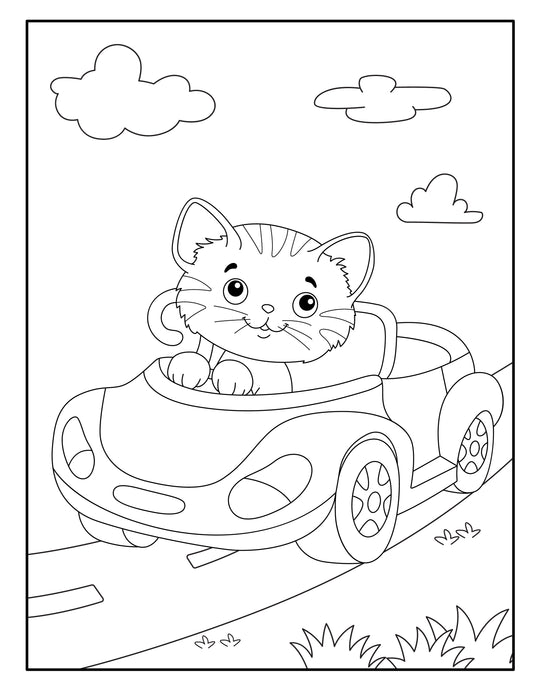 CATS VOLUME 2 - Foster Mom Things