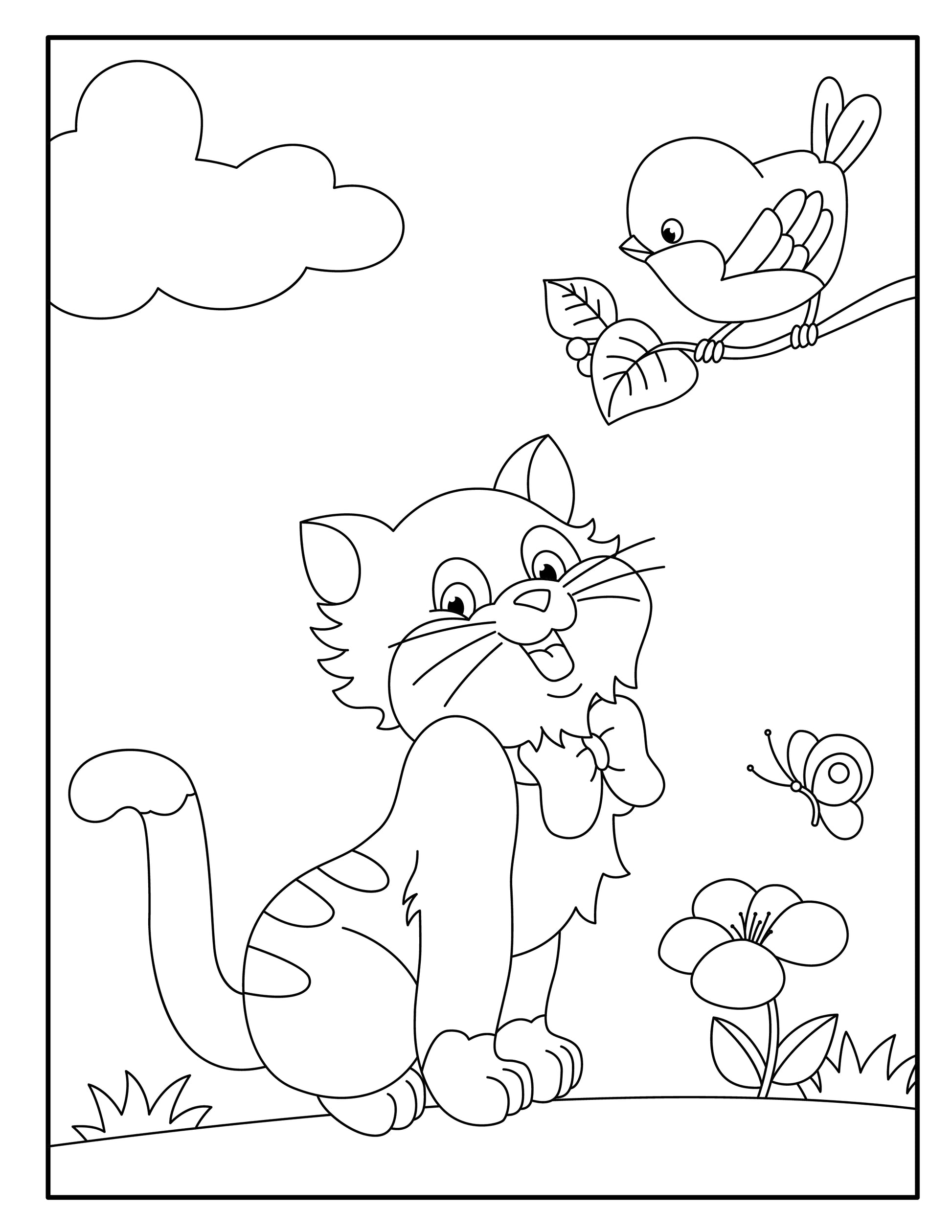 CATS VOLUME 3 - Foster Mom Things